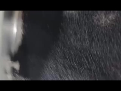 Black Desiccant Masterbatch Defoaming Masterbatch